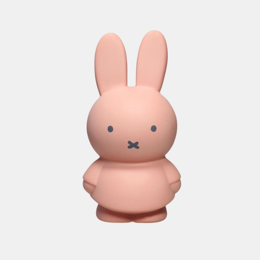 Small Powder Miffy Coin Bank