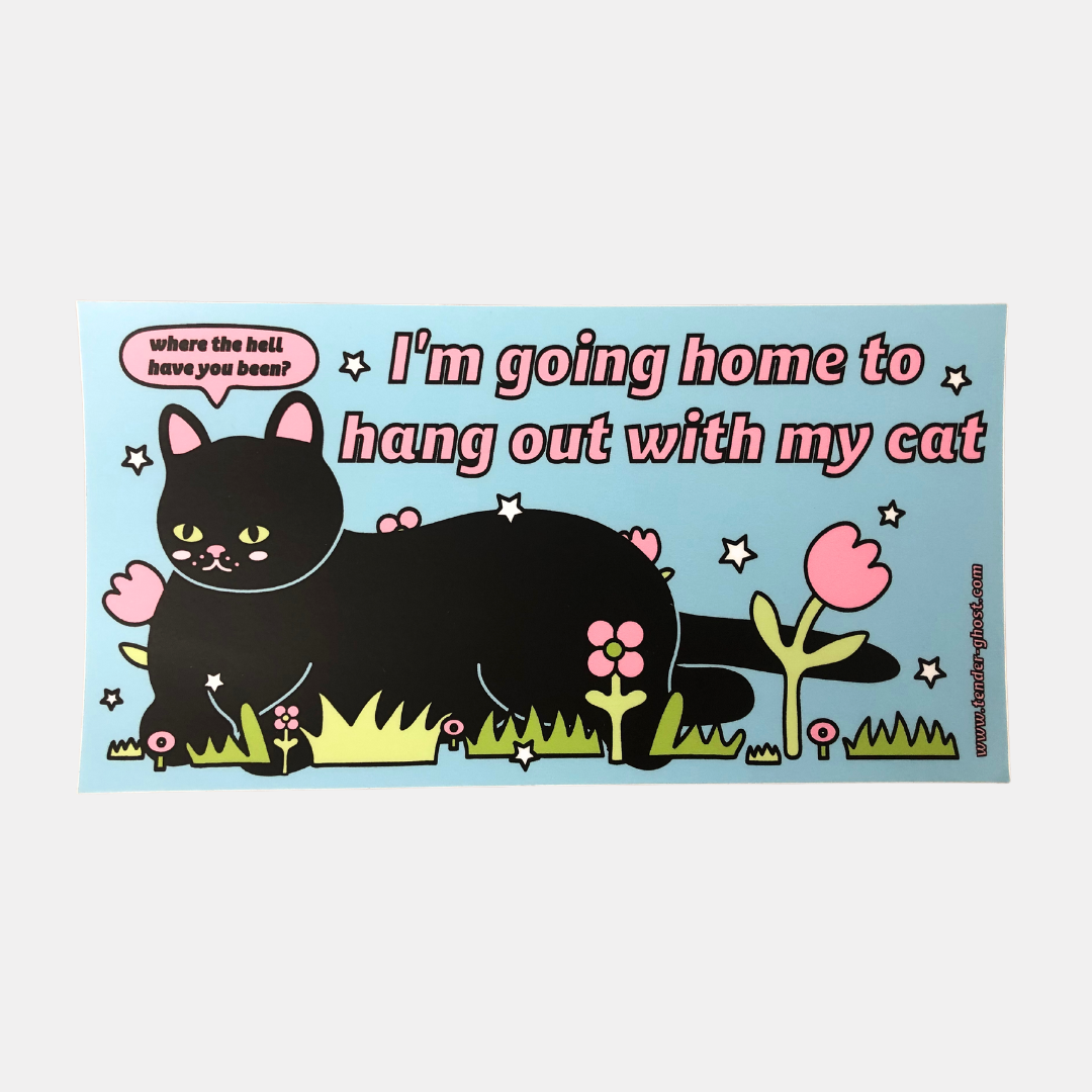 Hang Out With My Cat Bumper Sticker