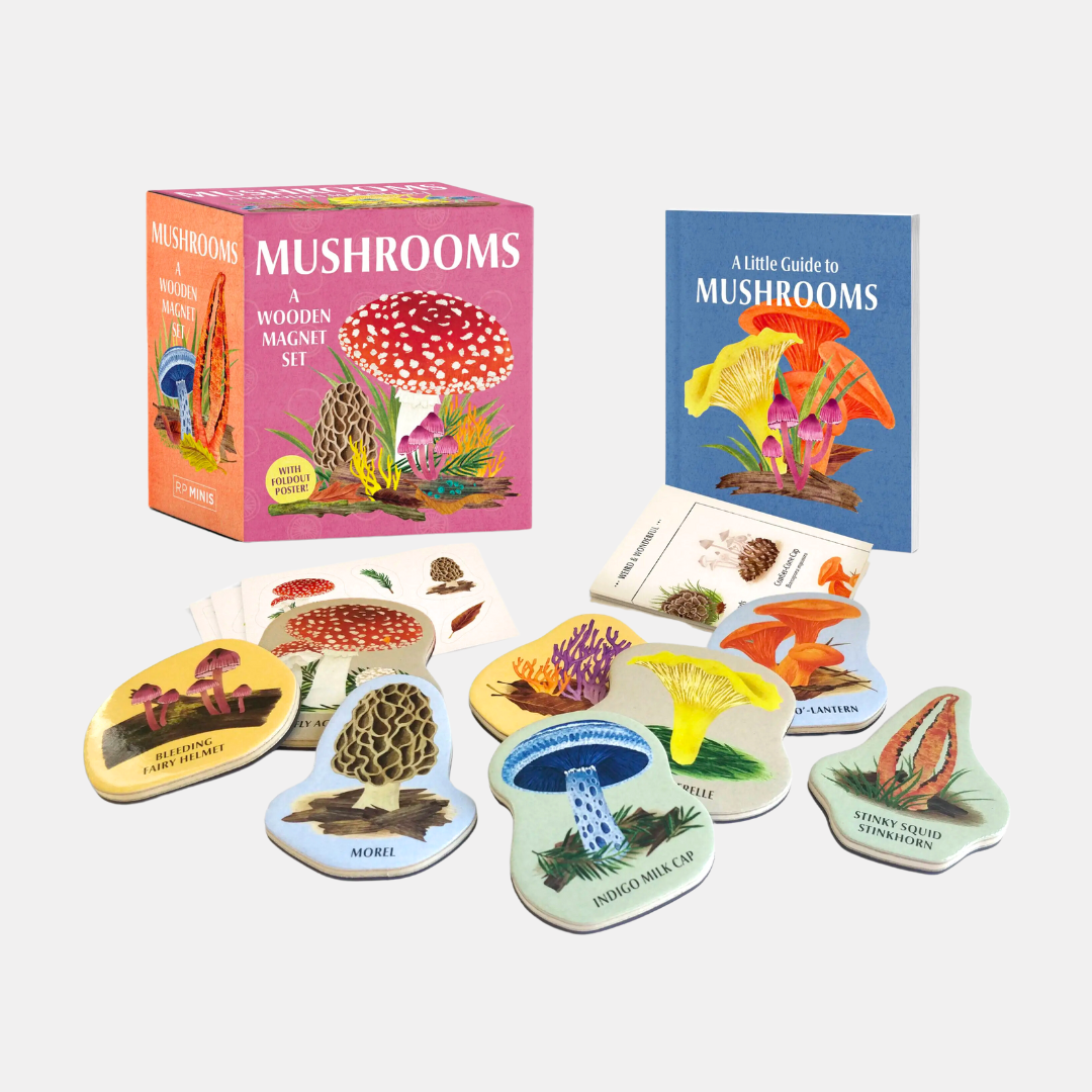 Mushrooms: A Wooden Magnet Set