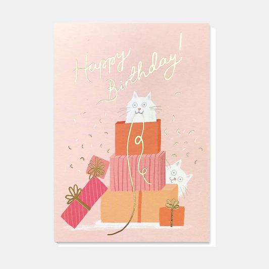 Cat In A Box Birthday Card